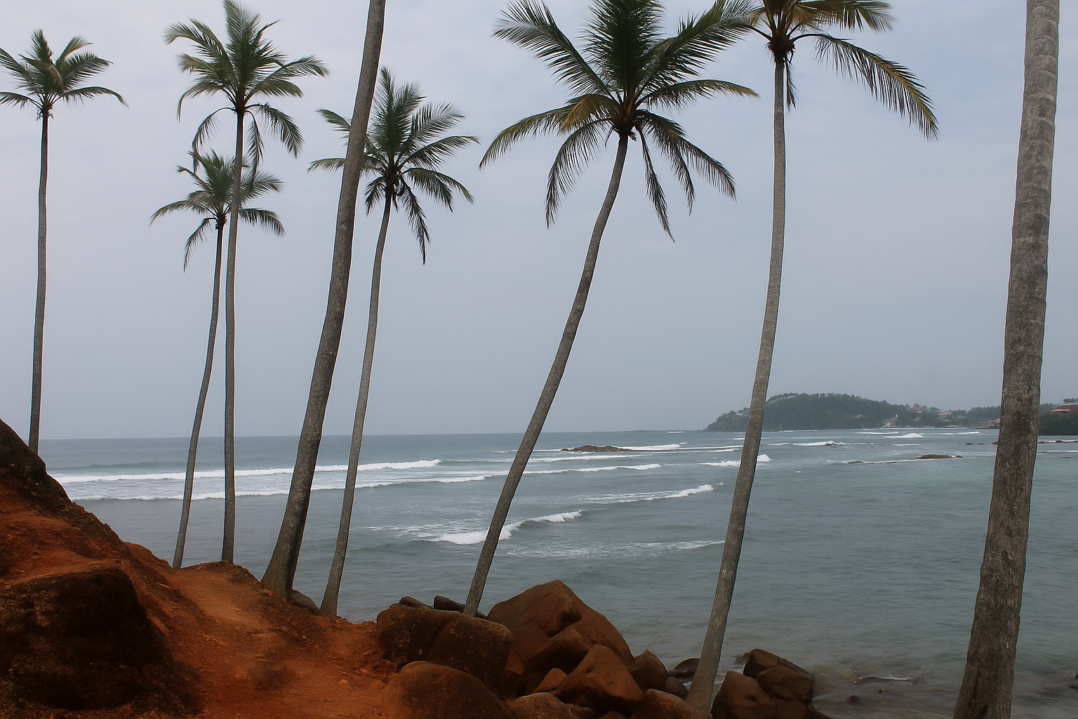 Palm Trees Beach